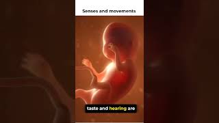 senses and movements in fetus embryo human reproduction biology olevels biology igcse [upl. by Niuqram]