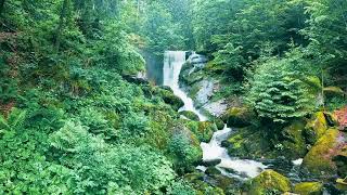 Journey Through the Black Forest  Episode 10 Triberg Waterfall [upl. by Arianna]