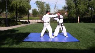 Hapkido Knife Defense Inner Slash Joint Lock 011511 [upl. by Nylra]