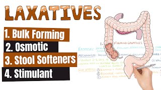 LAXATIVES What Are The Different Kinds of Laxatives When To Use Different Kinds of Laxatives [upl. by Bigelow]