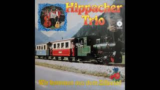 Hippacher Trio  SteinschlagPolka [upl. by Goldshell812]