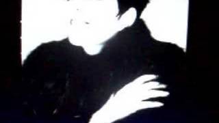 Liza Minnelli The Money Tree Audio Only Live 1978 NYC [upl. by Grefer]