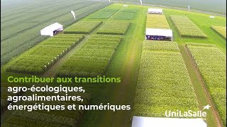 AGRONOMIE   Ingénieur en Agronomie  Innover dans les pratiques agricolestransition écologique [upl. by Dlanger560]