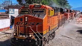 La falta de Locomotoras en Ferromex no aburre BNSF bajo a Manzanillo [upl. by Zadack]