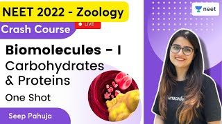 Biomolecules 1  Carbohydrates amp Proteins One Shot  Seep Pahuja  Unacademy NEET  NEET 20222023 [upl. by Nnuahs353]