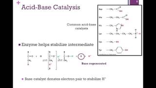 037Catalytic Mechanisms [upl. by Balsam]