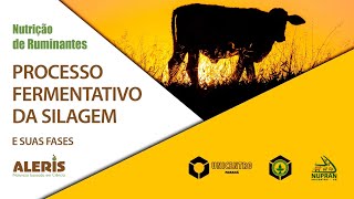 S1E3 · Processo Fermentativo da Silagem e suas Fases [upl. by Sager]