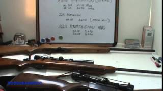 Survival Weapons 222 Remington Rifles amp Combination guns [upl. by Oranneg]