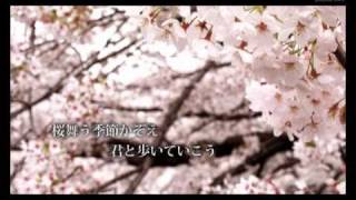 Tiara「桜 〜君がいた場所〜 feat KJ」Photo Trailer Video（short ver） [upl. by Learsiy102]