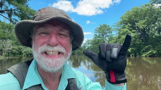 Contentnea Creek  Day 6 of 6  Grifton  Treasure of NC Paddling [upl. by Noseyt]