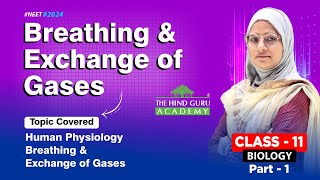 Biology Class 11 Breathing amp Exchange of Gases  Part 1 neet 2024 [upl. by Citarella16]