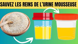 Top 10 meilleurs aliments qui éliminent la protéinurie et guérissent les reins  Jardins Curatifs [upl. by Reilamag]