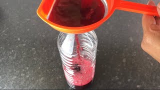 HOW TO PRESERVE SORREL DRINK  JAMAICAN STYLE [upl. by Atirec74]