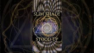 Slim Shady Stood Up 2024 Eminem Royce da 59 Type Beat 168bpm Rap Instrumental shorts shortsbeats [upl. by Eihcra]