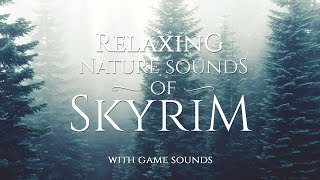 Skyrim Atmospheres by Jeremy Soule  Relaxing Nature Sounds of Skyrim [upl. by Beatty]