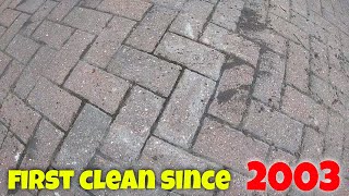 Driveway Gets Its FIRST CLEAN AFTER 18 YEARS  What A Difference  Pressure Washed amp Soft Washed [upl. by Minor116]