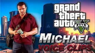 GTA 5 Michael De Santa I look like a f joke to you [upl. by Maleen]