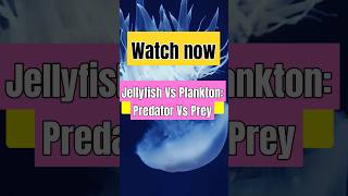 The Epic Showdown of Jellyfish vs Plankton [upl. by Haeli]