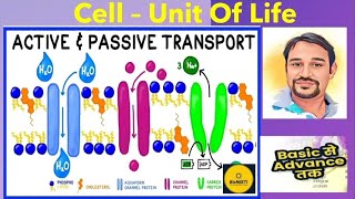 Transport Across Cell Membrane  Active amp Passive NCERT CBSE Class 11 NEET [upl. by Helbonia]