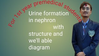 Urine formation in nephron blood ka filter kaha hota haiurinko formation kasari hunx [upl. by Territus]