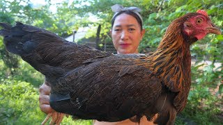 Tasty Curry Chicken Noodle Recipe  Chicken Cooking  Simple Life Cooking [upl. by Marybelle595]