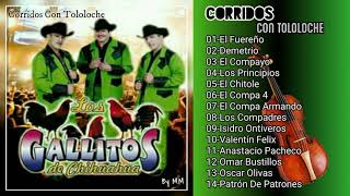 Los Gallitos De ChihuahuaDisco Completo Corridos Con Tololoche [upl. by Sorkin871]