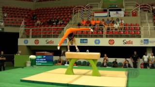 BLETTERMAN Michel NED  2016 Olympic Test Event Rio BRA  Qualifications Pommel Horse [upl. by Razec]