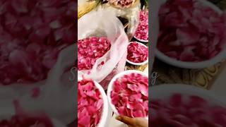 My sister wedding wedding hindisong explore subscribe [upl. by Nodyarb160]