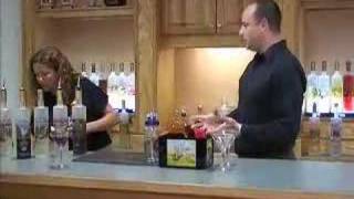 Vodka Drink and Martini Recipes from Van Gogh Vodka [upl. by Nosredna957]