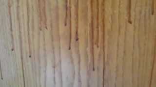 How to degrease kitchen cabinets using Krud Kutter [upl. by Sung506]