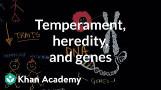 Temperament heredity and genes  Behavior  MCAT  Khan Academy [upl. by Ross]