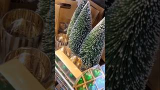 Hornbach Kerst Mini Shoplog 2024🎄 [upl. by Fini531]