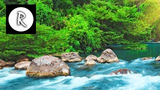 Relaxing Nature Sounds  Water Sound 24 Hours Gentle River amp Stream [upl. by Nariko148]