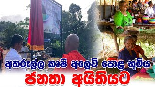 අකරැල්ල කෘෂි අලෙවි පොළ ජනතා අයිතියට  Akarella Pola  Divisional Secretariat Opanyaka [upl. by Okire]