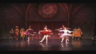 Atlanta Dance Theatres The Making of Swan Lake ballet [upl. by Nol652]