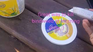 How to kill bindweed or morning glory [upl. by Linea]