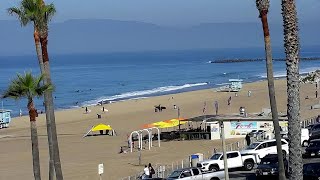 Live Hurricane Beach Webcam Destin Florida [upl. by Eatnod]