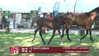 Sprinter Sacré Show 2021  Lot 92  Le Gentleman [upl. by Ennayhs]