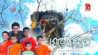 සුන්දර ගල්ගමුව  Travel with Chatura  Galgamuwa [upl. by Ainos]