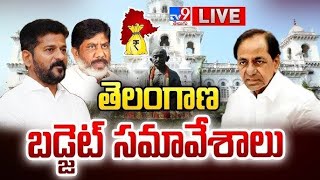 Telangana Assembly LIVE  Telangana Budget 2024  CM Revanth Reddy  KCR  TV9 [upl. by Ragen]