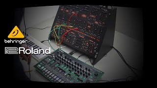 Behringer 2600  Roland TR8  No Talking [upl. by Sergu]