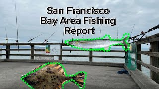 San Francisco Bay Area Fishing Report 2424 Fishing Oyster Point Pier [upl. by Nimajnab]