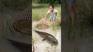 Survival Skills Simple But Very Useful Catch Big Fish survival shorts bushcraftskills [upl. by Alidus]