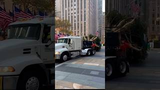 The Rockefeller Center 2024 Christmas tree arriving for installation [upl. by Lokim]