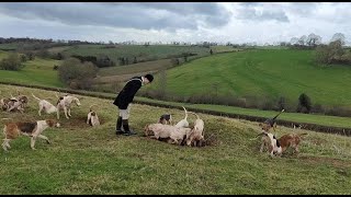 The Ledbury Hunt 4 Feb 2022 [upl. by Yra776]