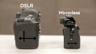 Understanding DSLR vs Mirrorless Cameras [upl. by Dyun]