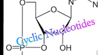 Cyclic Nucleotides  Biochemistry cAMP cGMP [upl. by Aydne]