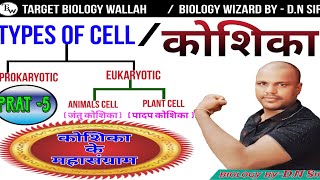 मानव कोशिकाHuman cellजंतु कोशिकाanimal cellपादप कोशिका plant cell cellbiology [upl. by Nedry106]