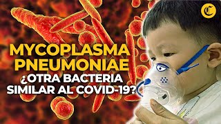 MYCOPLASMA PNEUMONIAE la BACTERIA que generó el BROTE DE NEUMONÍA EN NIÑOS de China  El Comercio [upl. by Benni]