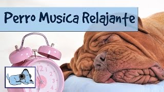 Los tonos mas relajantes para perros con tecnologia de sonidos en expansion [upl. by Nosnaj94]